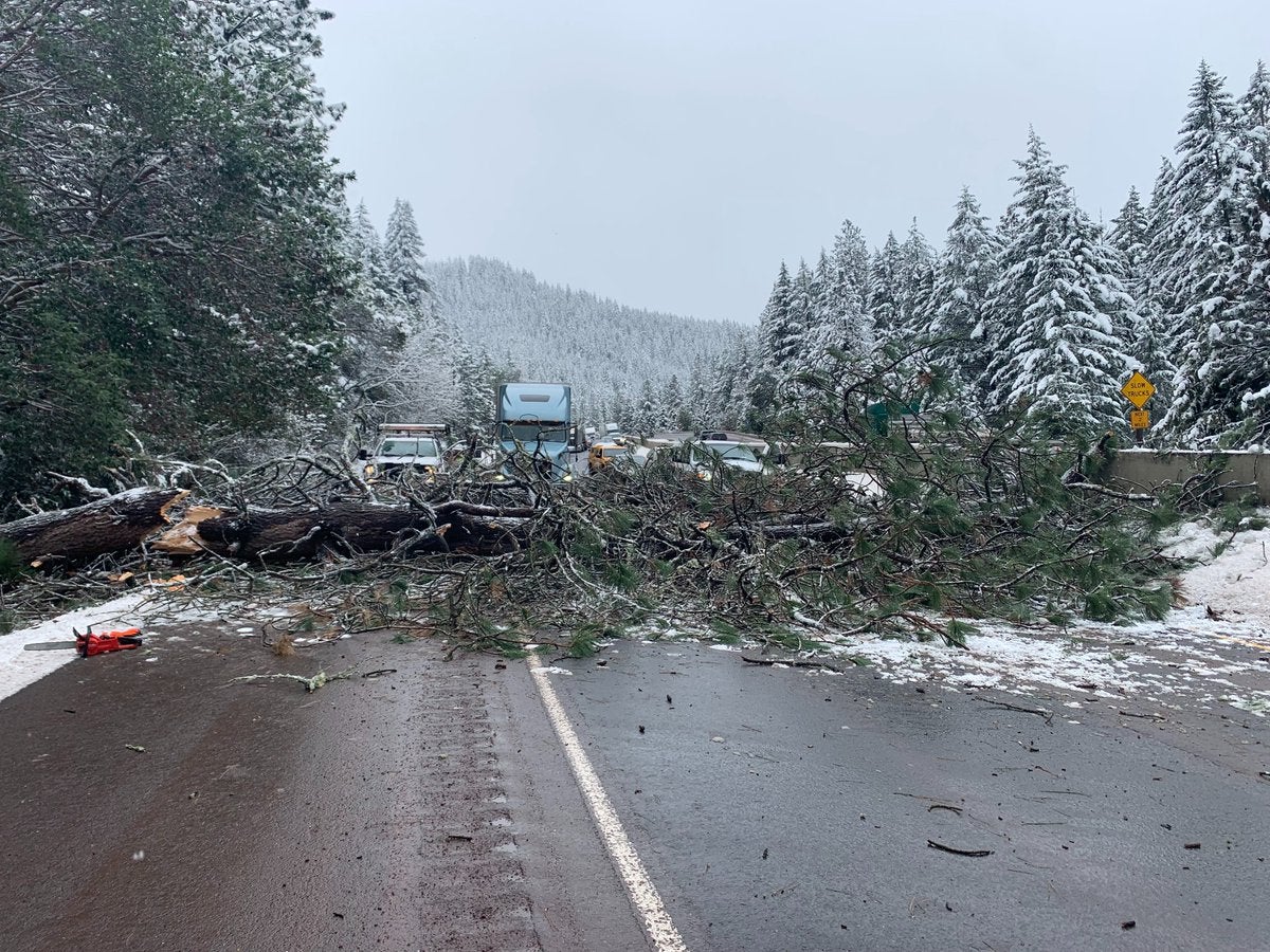 The vehicle occupants were lucky to escape injury (OregonDOT/PA)