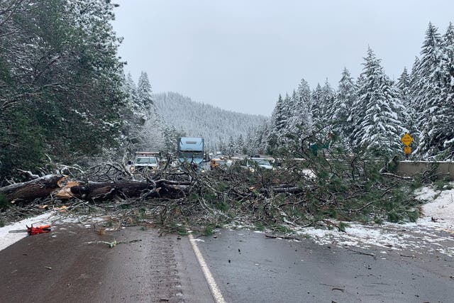The vehicle occupants were lucky to escape injury (OregonDOT/PA)