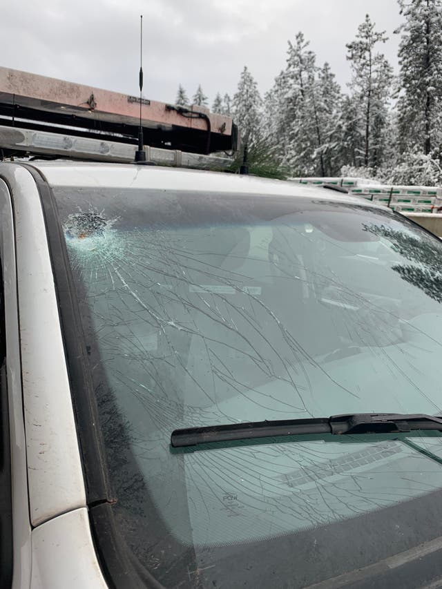 Lucky escape for US driver as tree falls on vehicle | The Independent