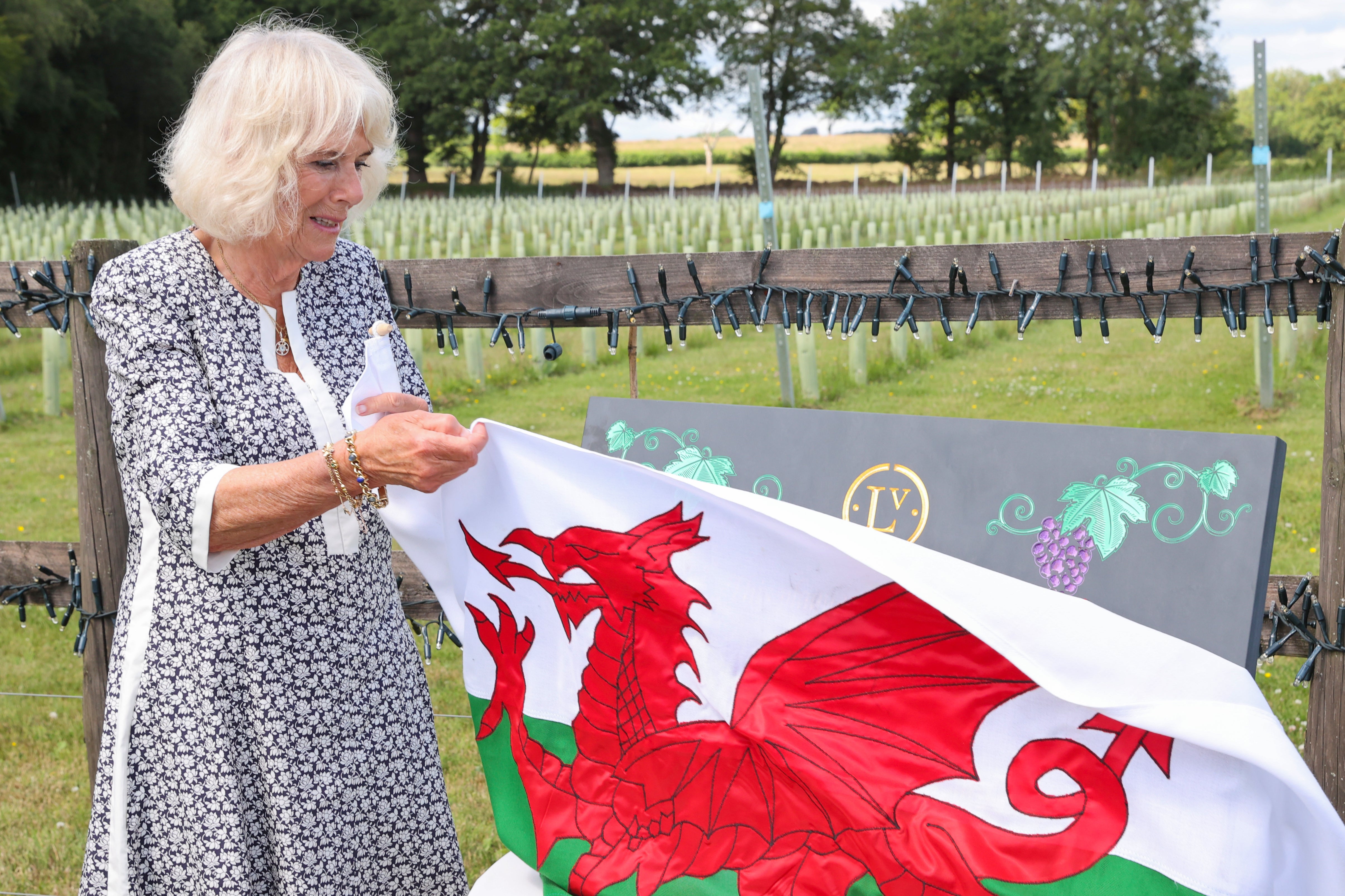 The Duchess of Cornwall, President of Wine GB, unveiled a plaque during a visit marking the 10th anniversary of the Llanerch Vineyard in Pontyclun, as part of a week-long tour of Wales (Chris Jackson/PA)