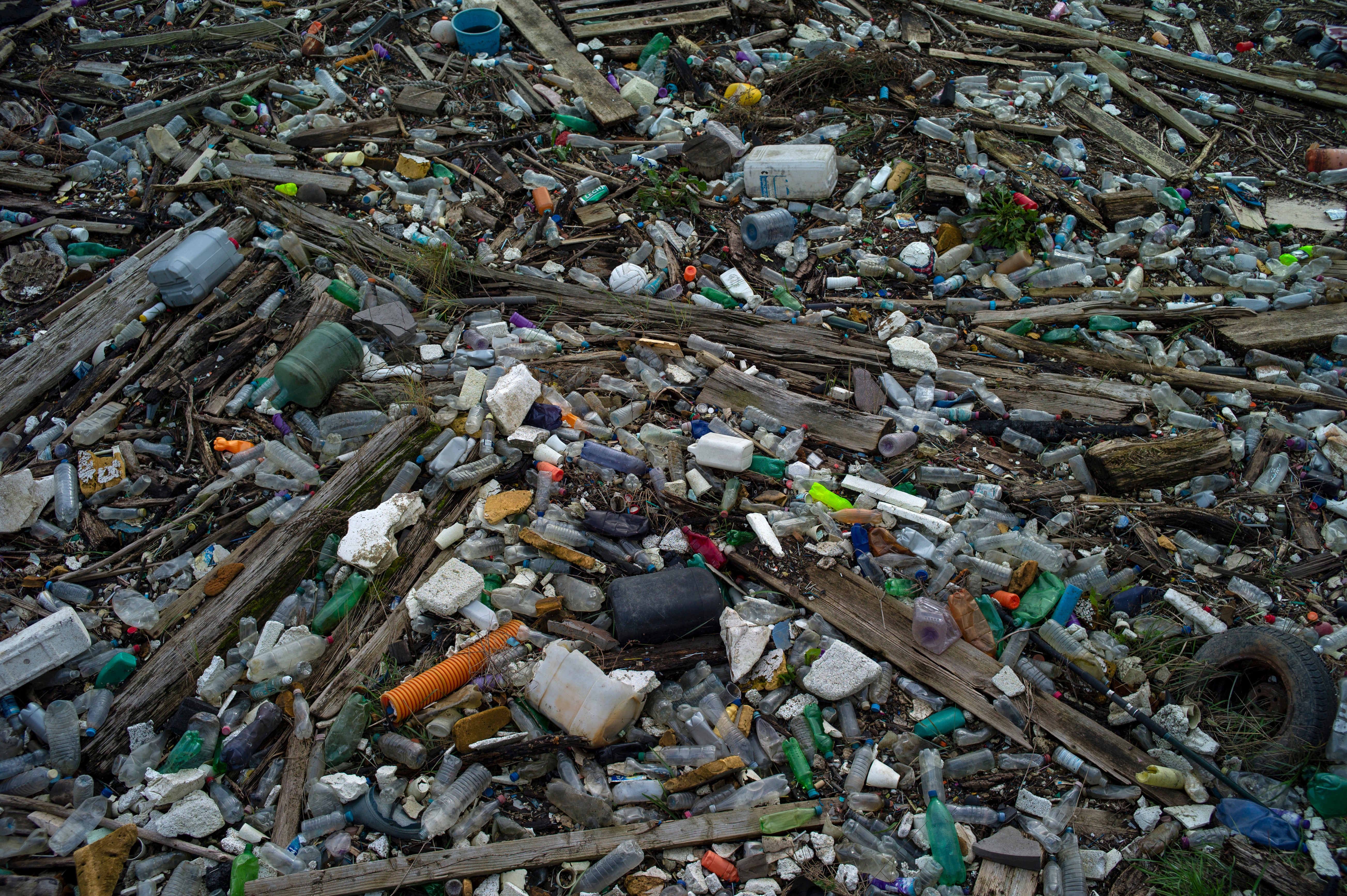 Plastic waste in the Thames Estuary
