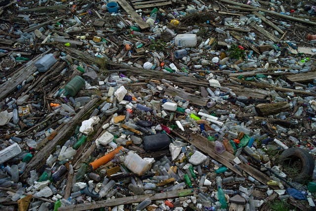 <p>Plastic waste in the Thames Estuary</p>