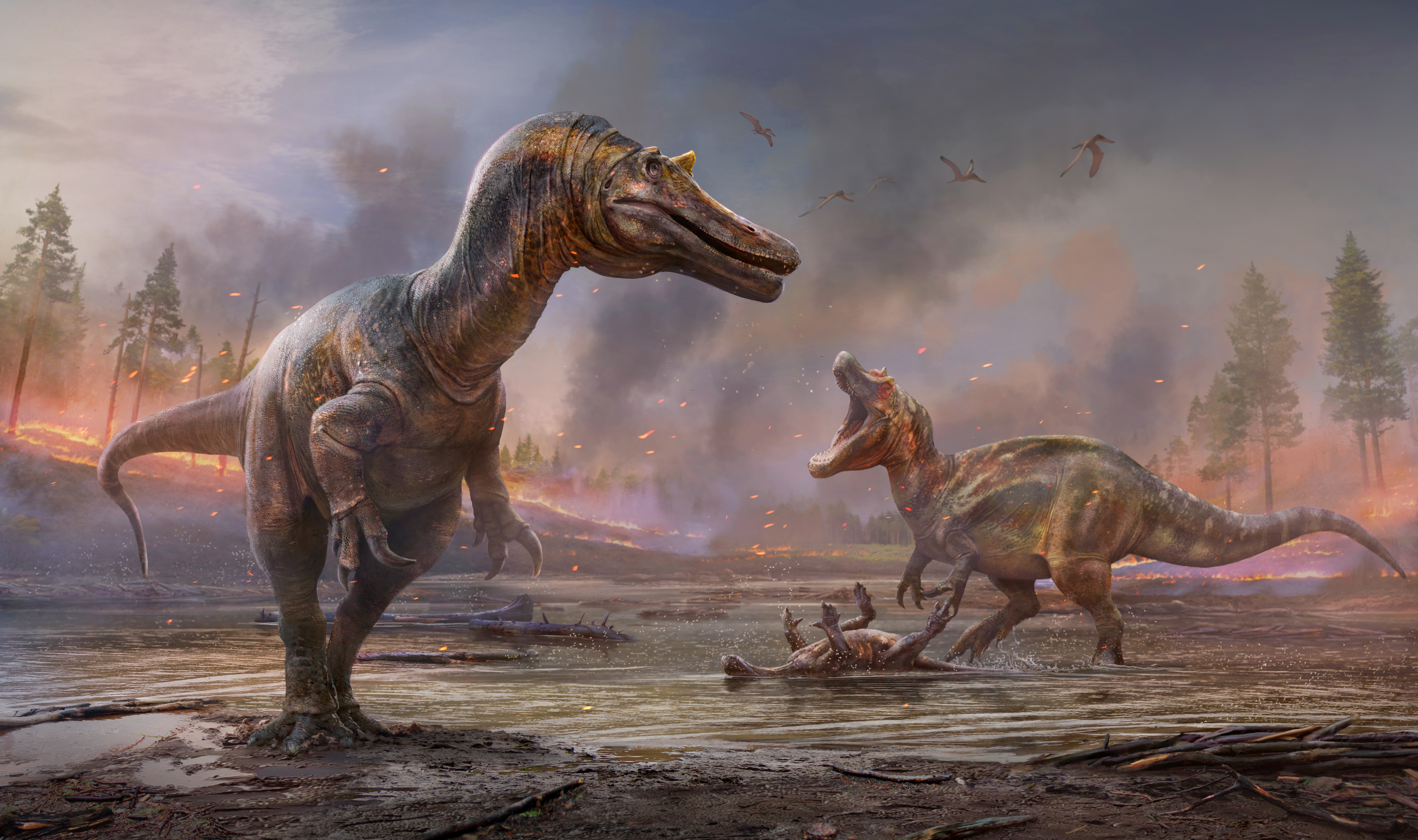 A pair of spinosaurs were discovered by a PhD student on the Isle of Wight