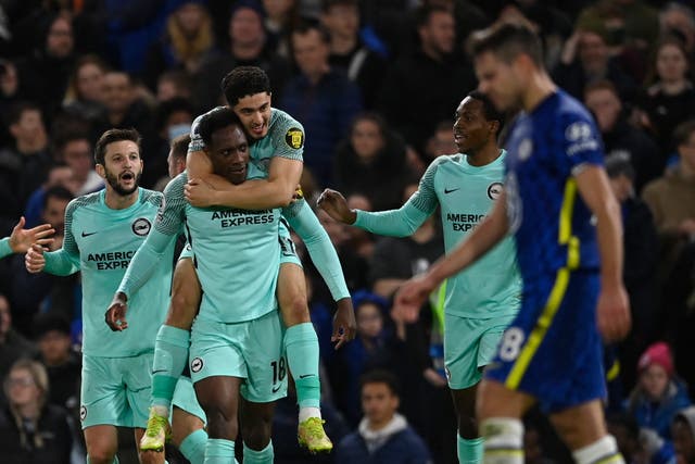<p>Danny Welbeck celebrates scoring the equaliser for Brighton at Chelsea</p>
