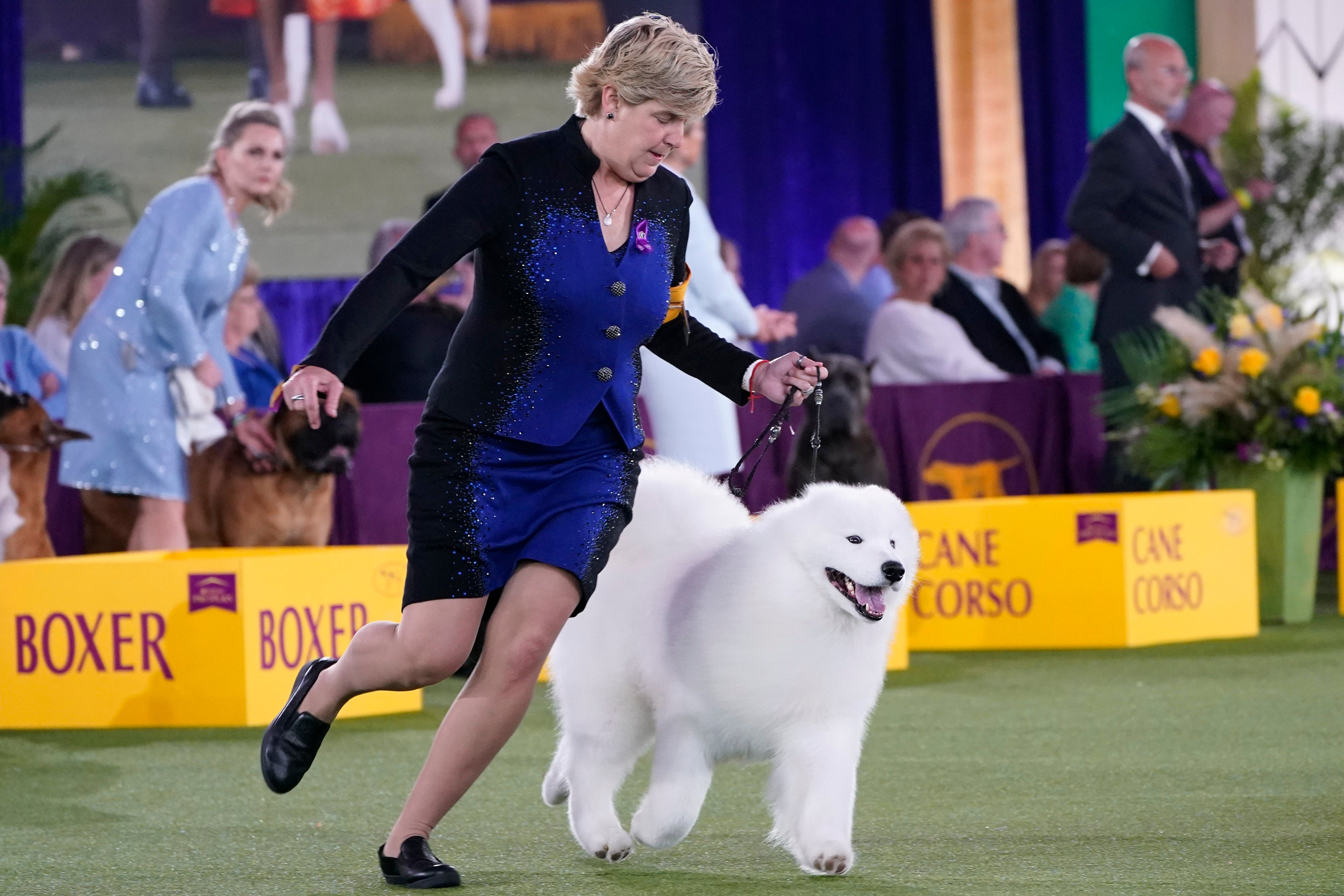 Virus Outbreak Dog Show