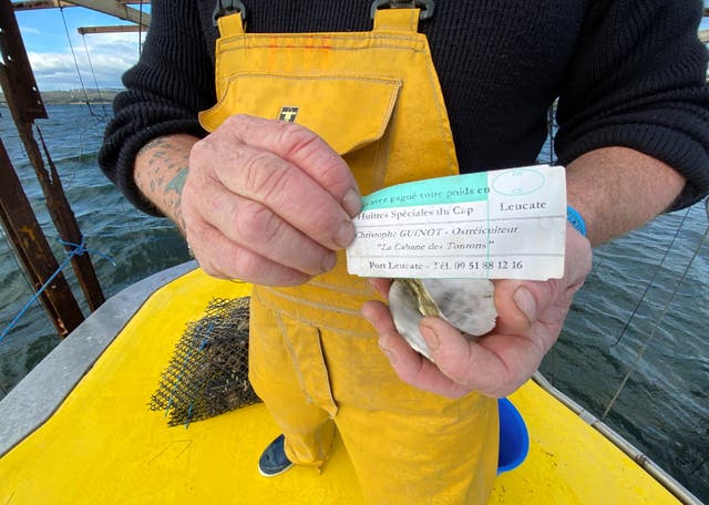 <p>French oyster farmer Christophe Guinot shows a note left in an empty shell to warn customers they are buying from thieves</p>