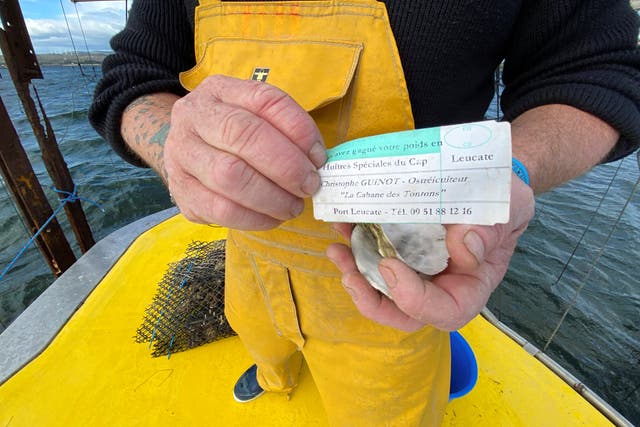 <p>French oyster farmer Christophe Guinot shows a note left in an empty shell to warn customers they are buying from thieves</p>