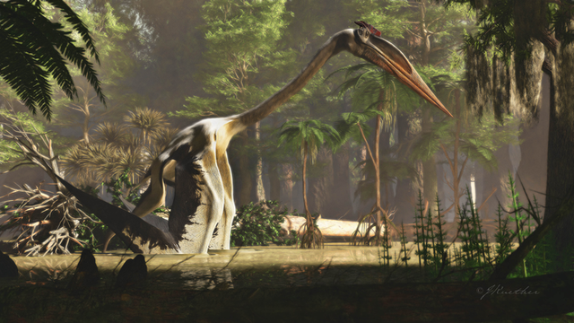 <p>Artist’s interpretation of ‘Quetzalcoatlus northropi’ wading in the water</p>