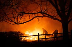 Shocking images of the Colorado wildfires with as many as 1,000 homes destroyed