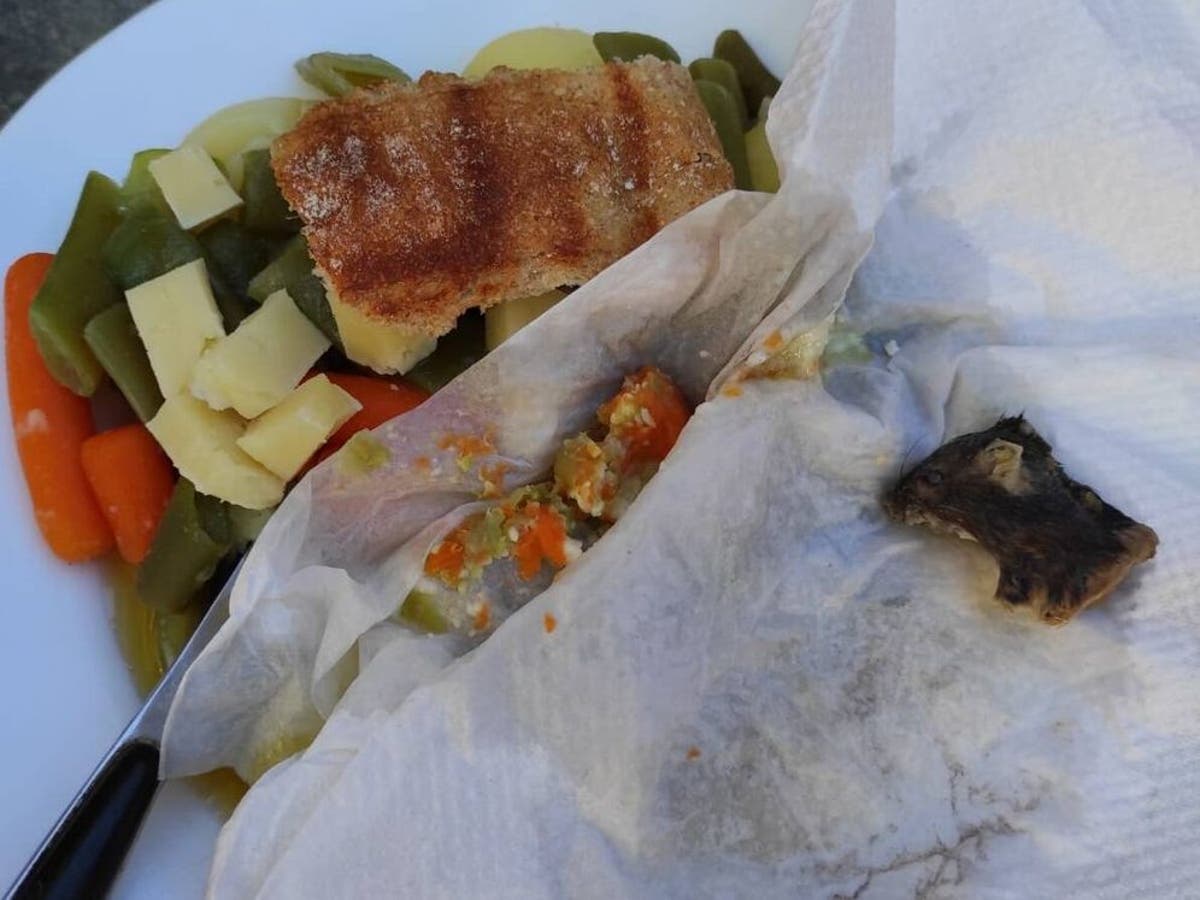 ‘I saw two eyes looking at me’ Spanish man eats rat he thought was an