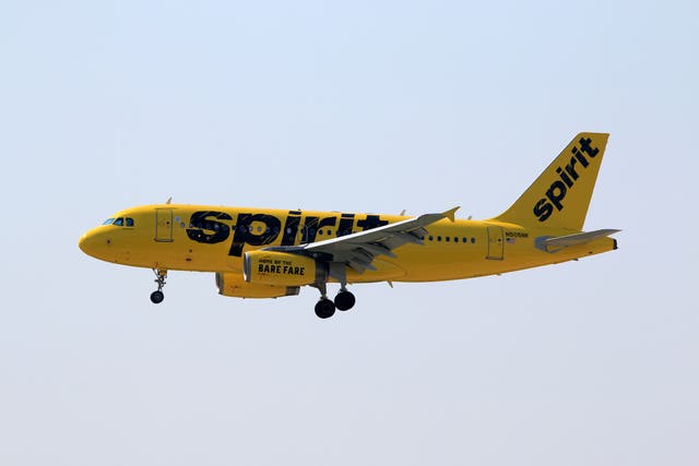 <p>A Spirit Airlines plane</p>