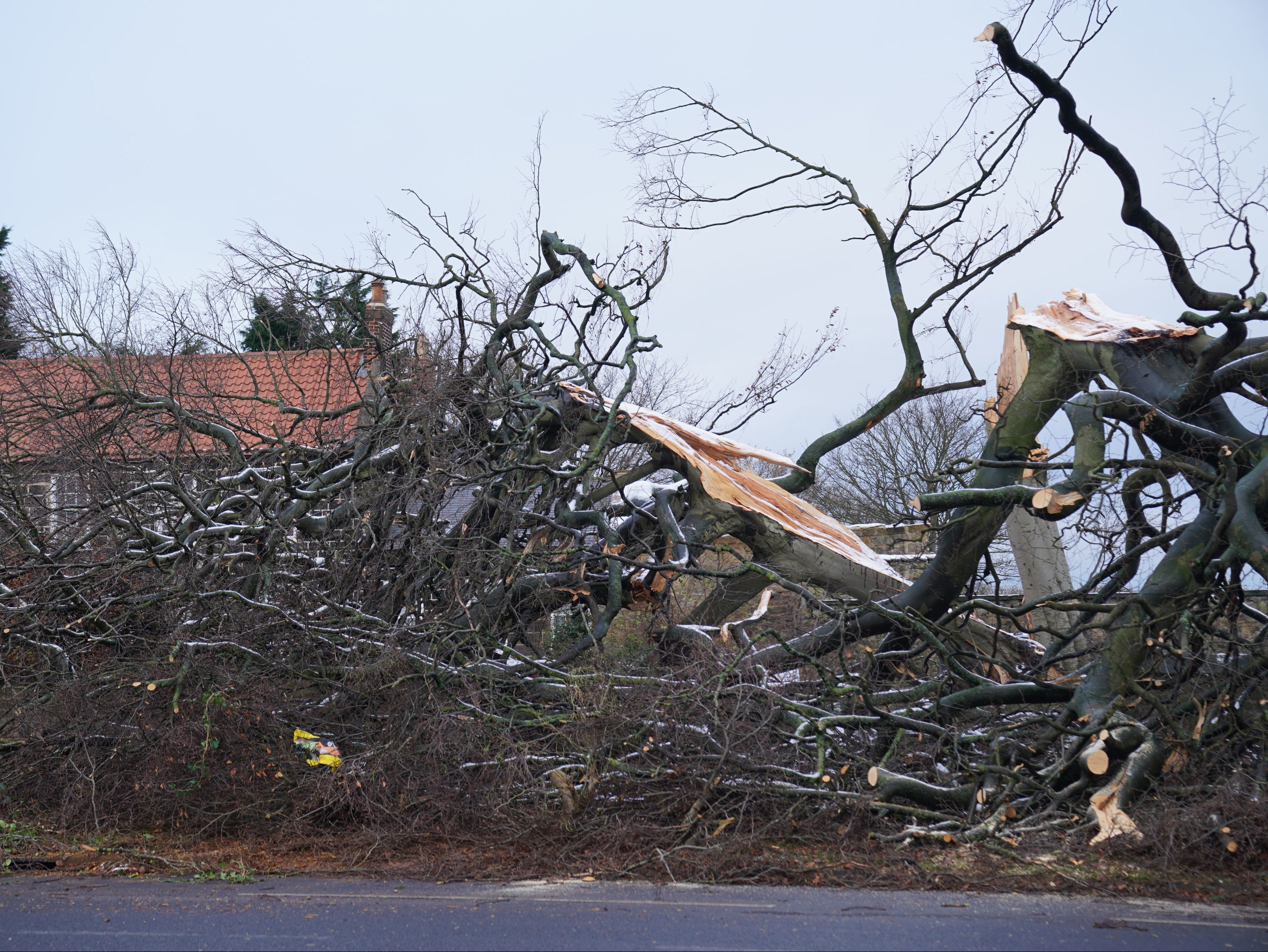 Storms caused by the changing climate damage homes and habitats