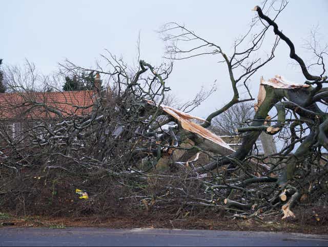 <p>Storms caused by the changing climate damage homes and habitats </p>