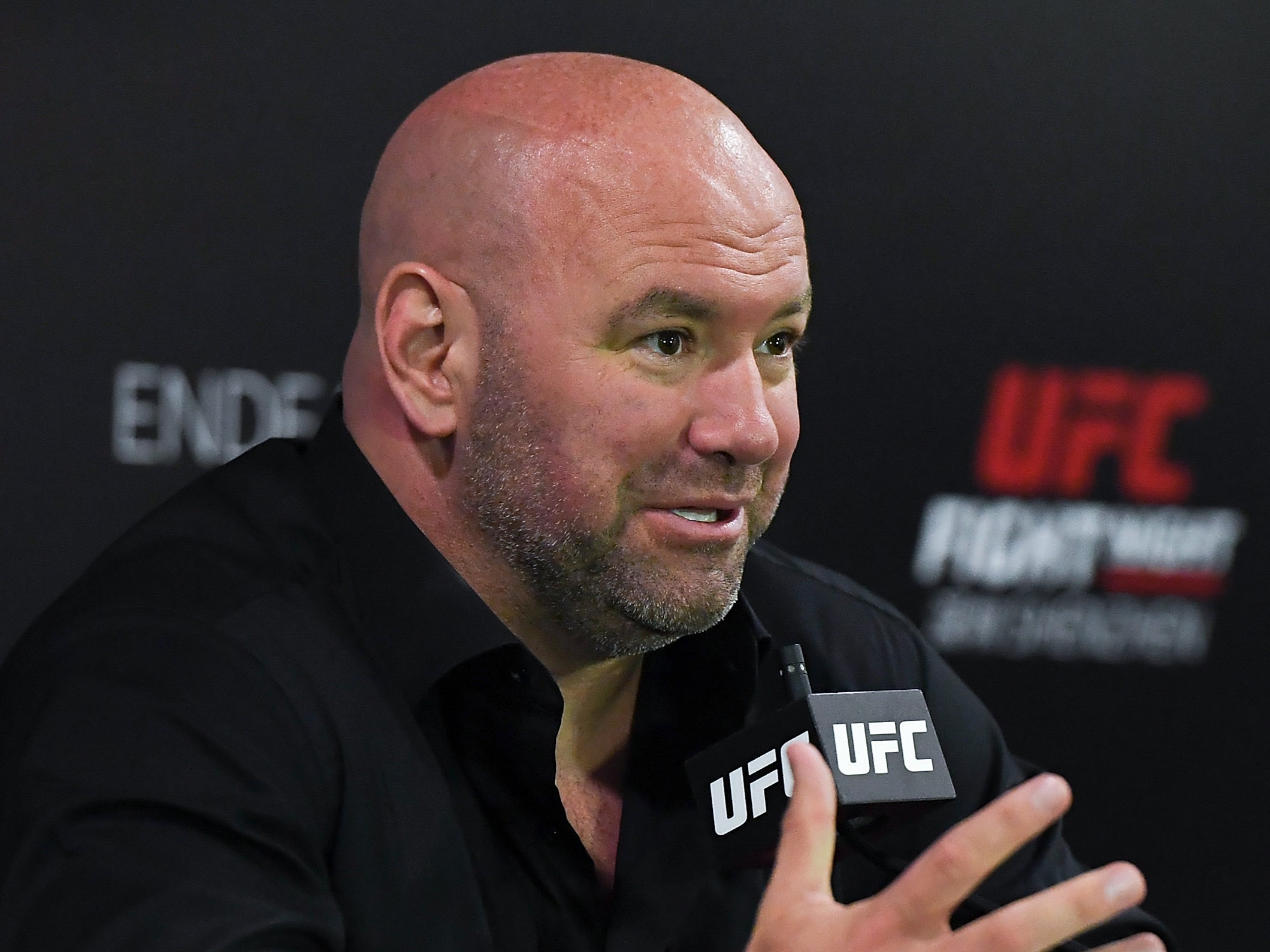 Ufc President Dana White Rules Out Move Into ‘broken Business Of Boxing The Independent 