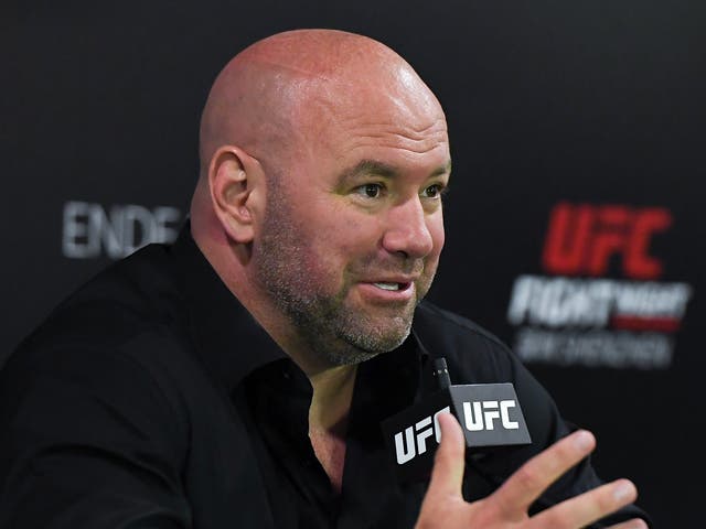 <p>UFC president Dana White</p>