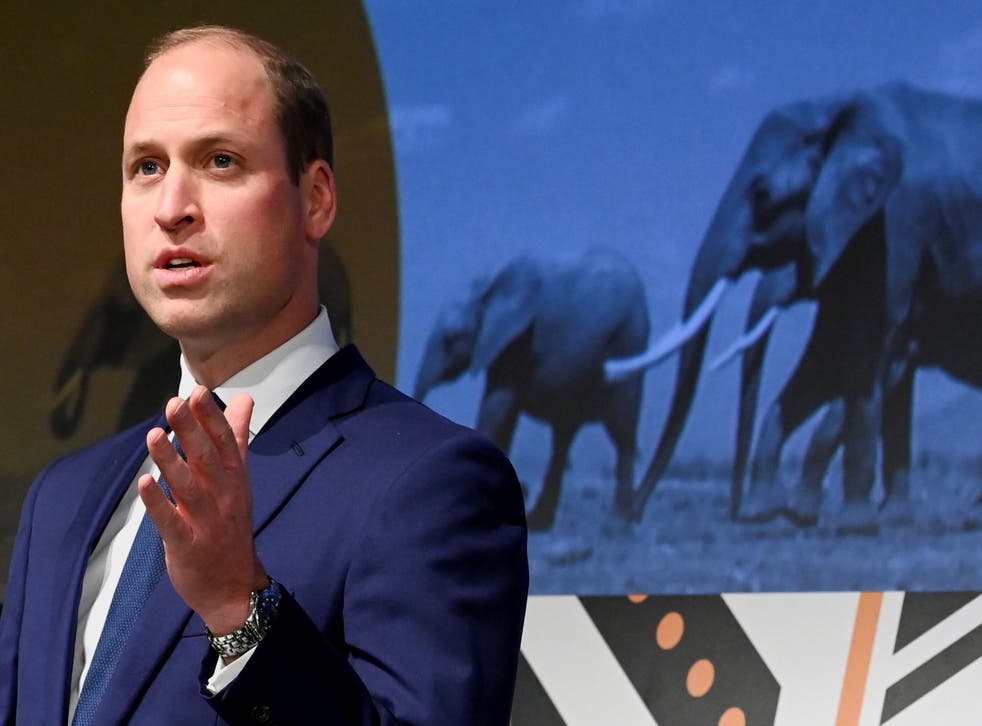 The Duke of Cambridge delivers a speech during the Tusk Conservation Awards at the BFI Southbank London (PA)