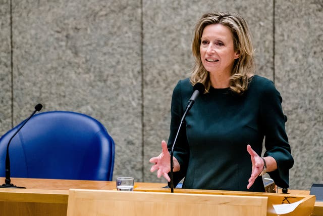 <p>Kajsa Ollongren is a Dutch-Swedish politician who is in the ‘D66’ Dutch party</p>