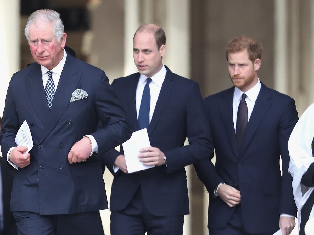 Prince Charles praises Prince William and Prince Harry for their climate work