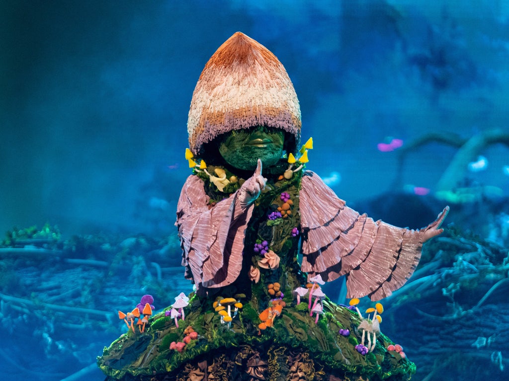 Who is Mushroom on The Masked Singer? Latest clues and hints