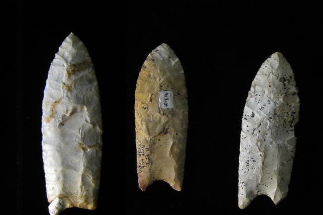 <p>Clovis points from the Rummells-Maske Site, 13CD15, Cedar County, Iowa. These are from the Iowa Office of the State Archaeologist collection</p>
