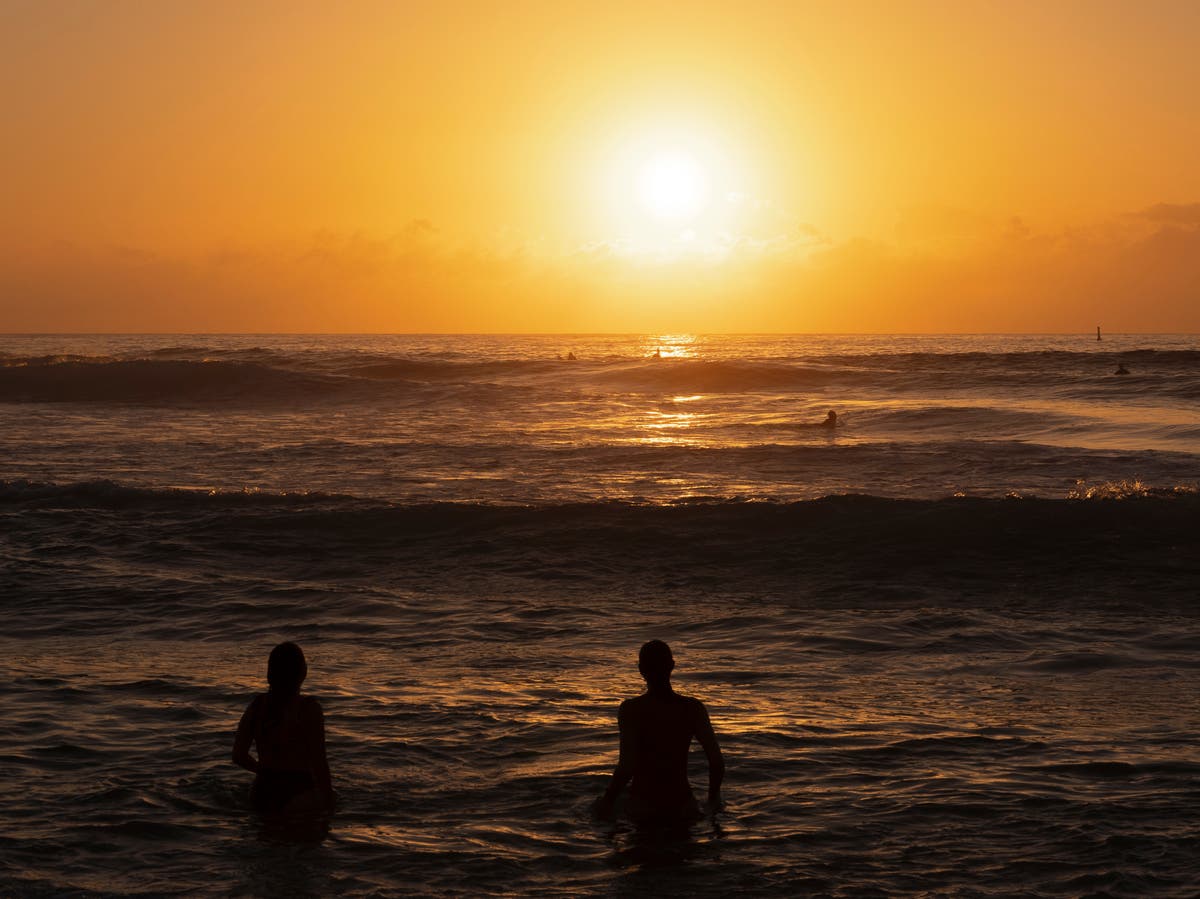 Sydney faces ‘extreme marine heatwave’