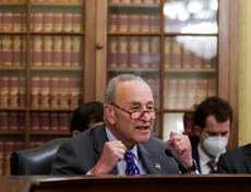 Schumer calls Trump election lies ‘the biggest threat’ to Capitol and democracy