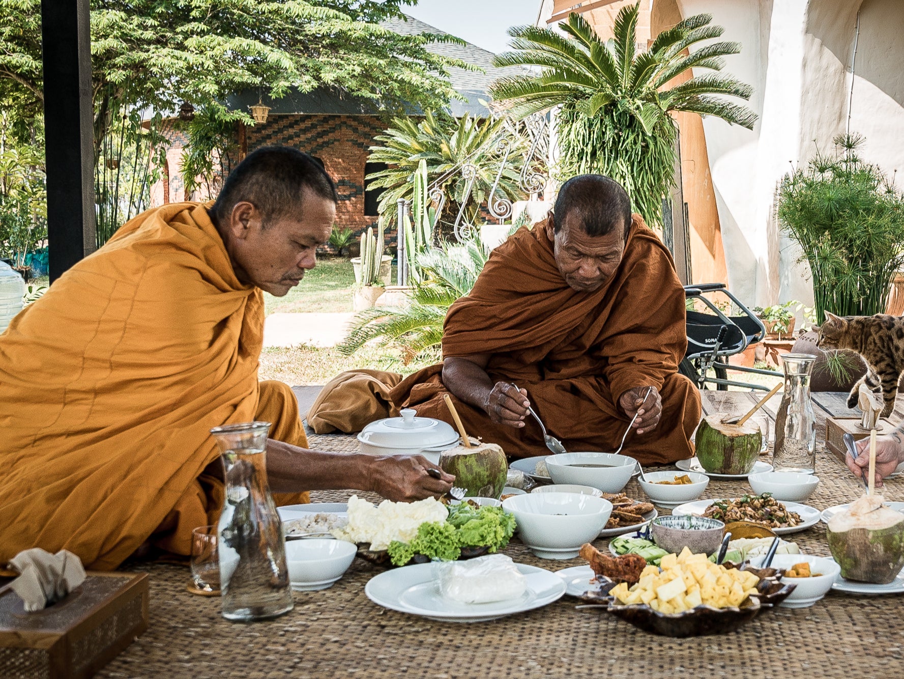 <p>The city of Chiang Mai has embraced veganism</p>