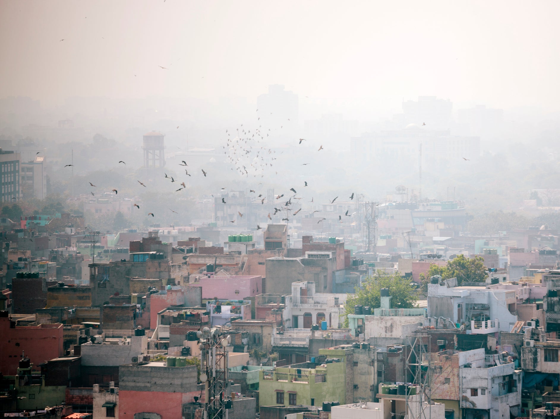 Delhi disappears into the smog. India is among the countries worst affected by air pollution