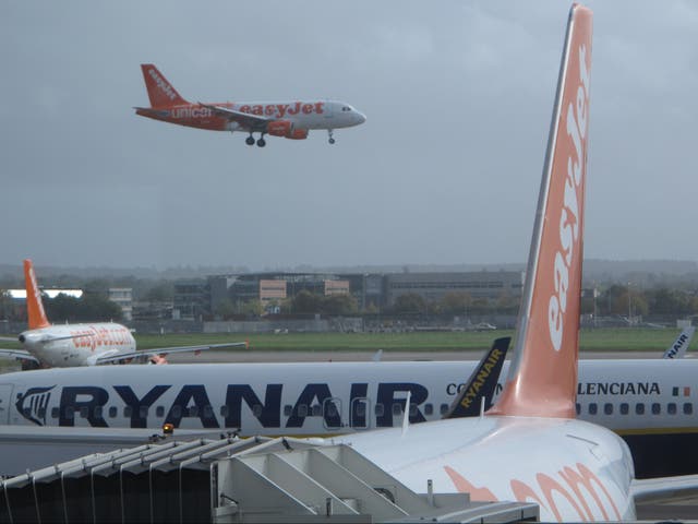 <p>Flying away: easyJet and other travel businesses have welcomed the eased restrictions on international arrivals to the UK</p>