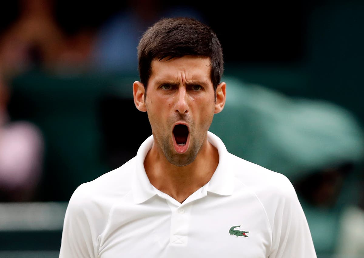 Novak Djokovic facing deportation from Australia - live updates