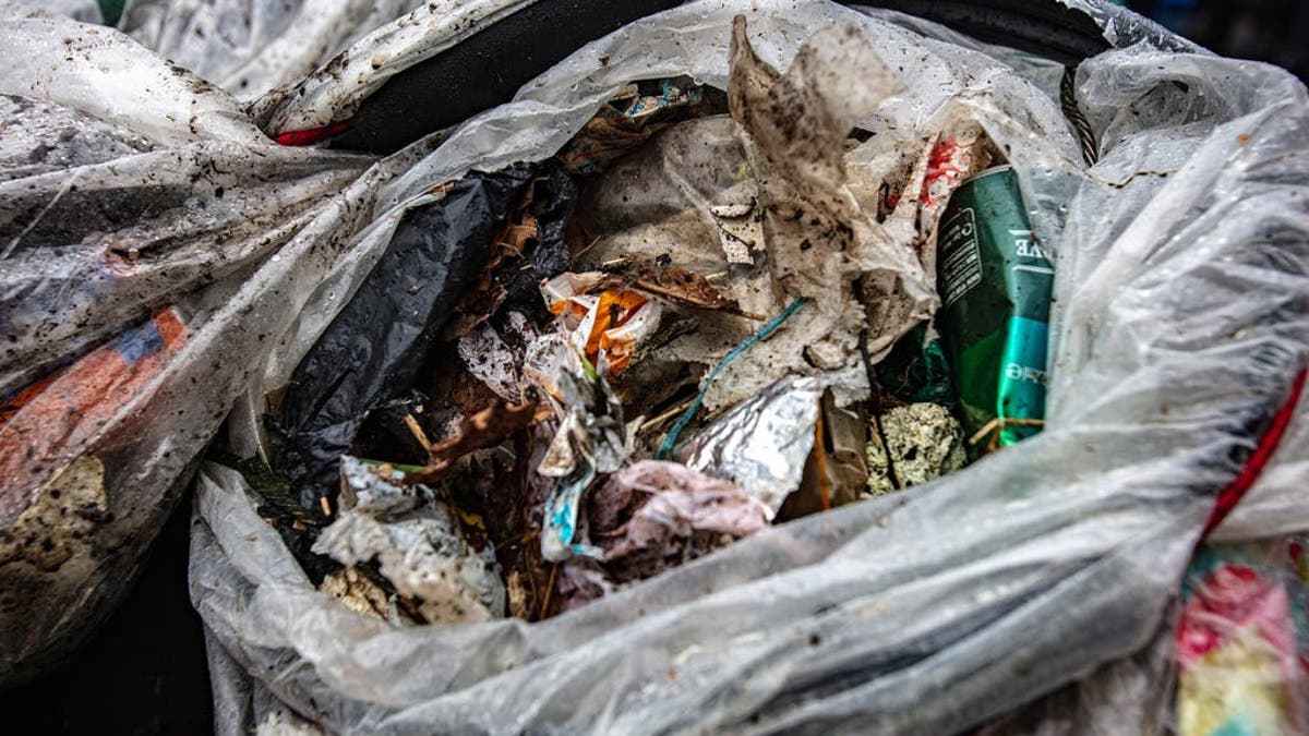 Litter enforcement officers urged to target Black and Asian people, tribunal is told