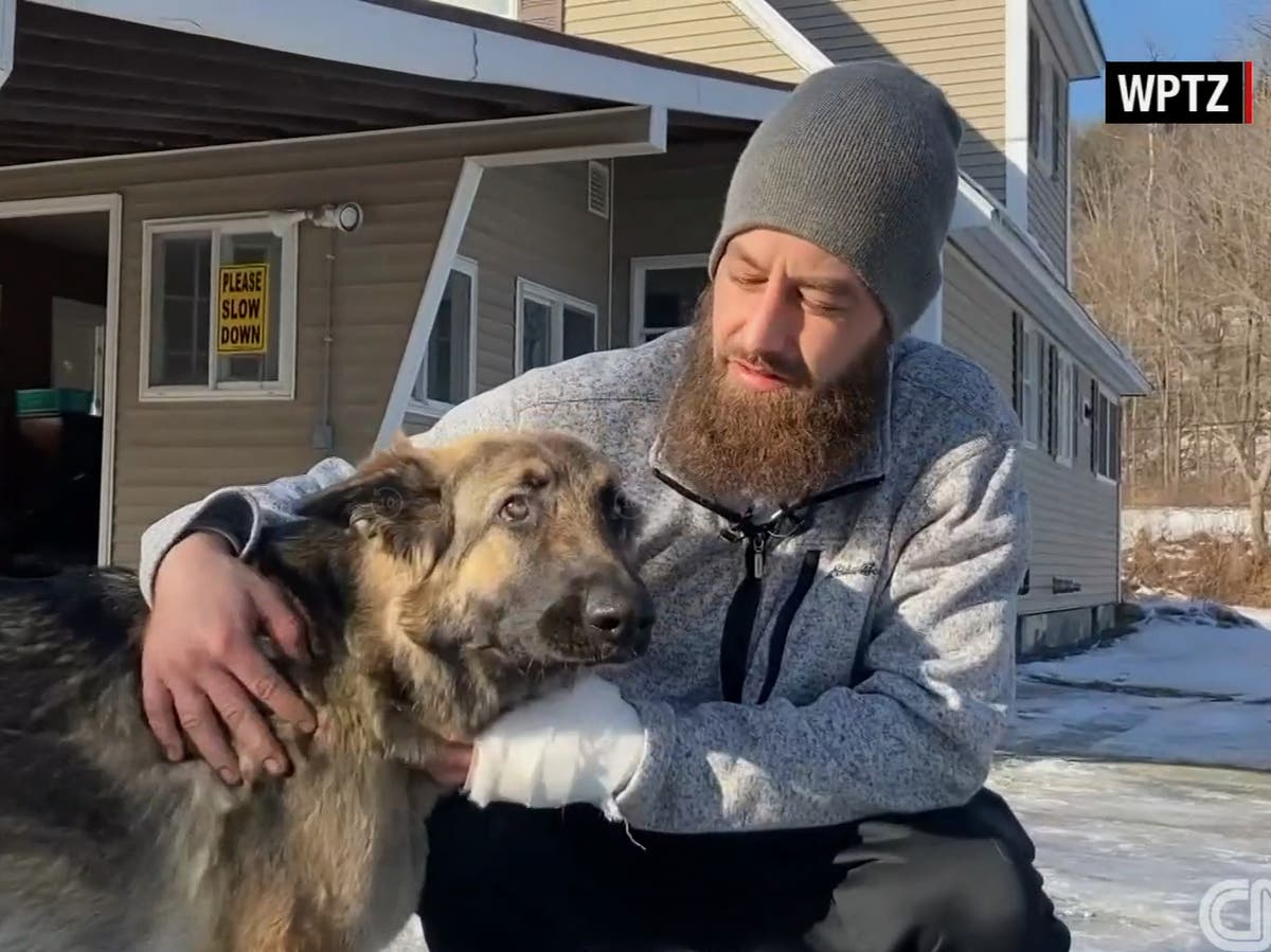 Dog hailed as hero after saving owner's life