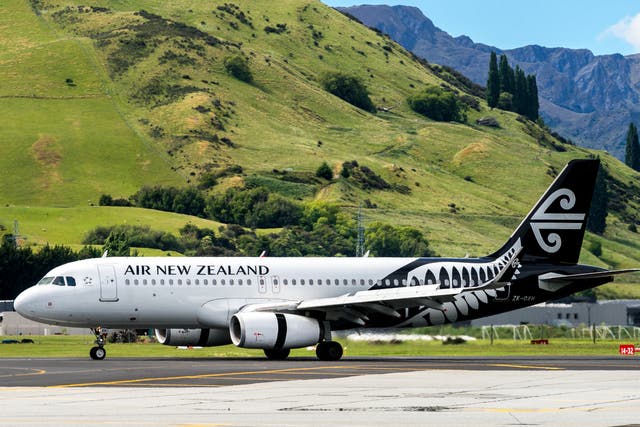 <p>An Air New Zealand plane on the tarmac</p>