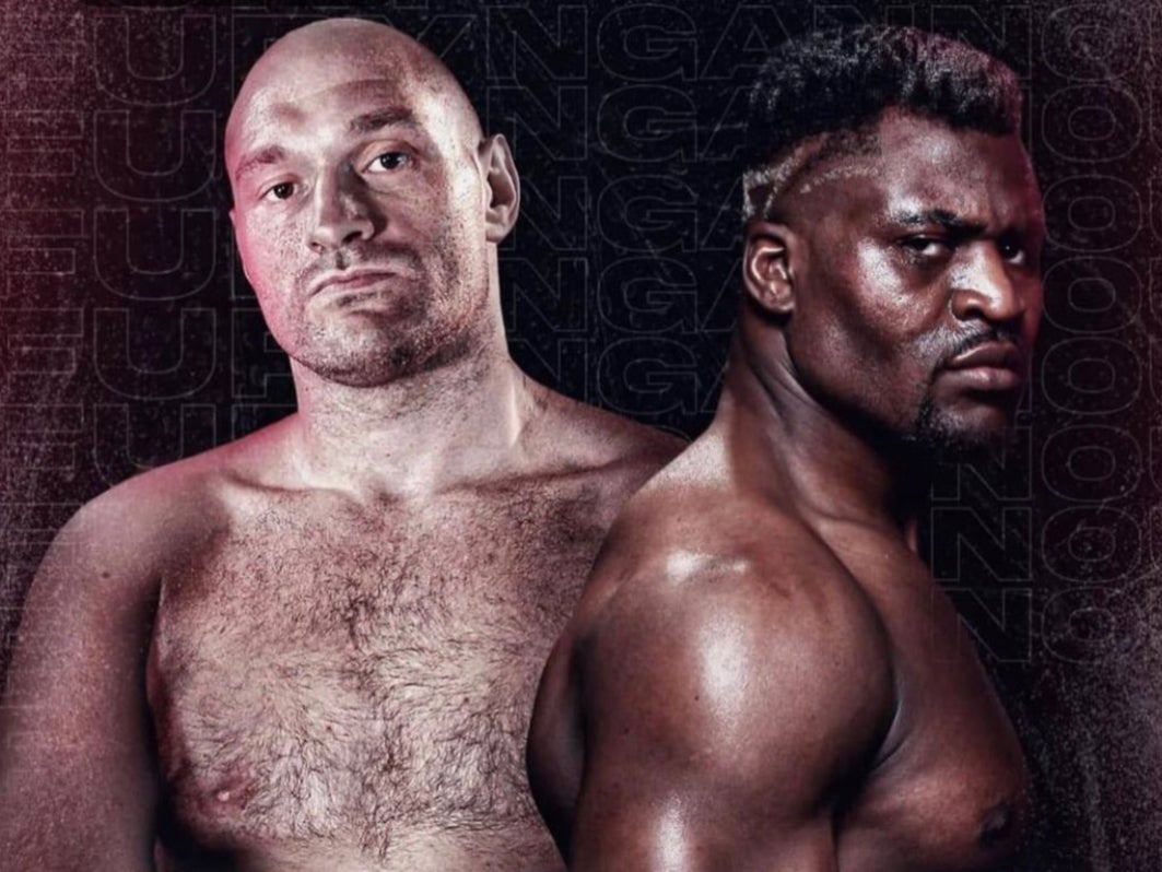 Tyson Fury has teased a fight with UFC heavyweight champion Francis Ngannou