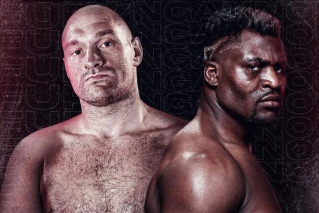 <p>Tyson Fury has teased a fight with UFC heavyweight champion Francis Ngannou</p>