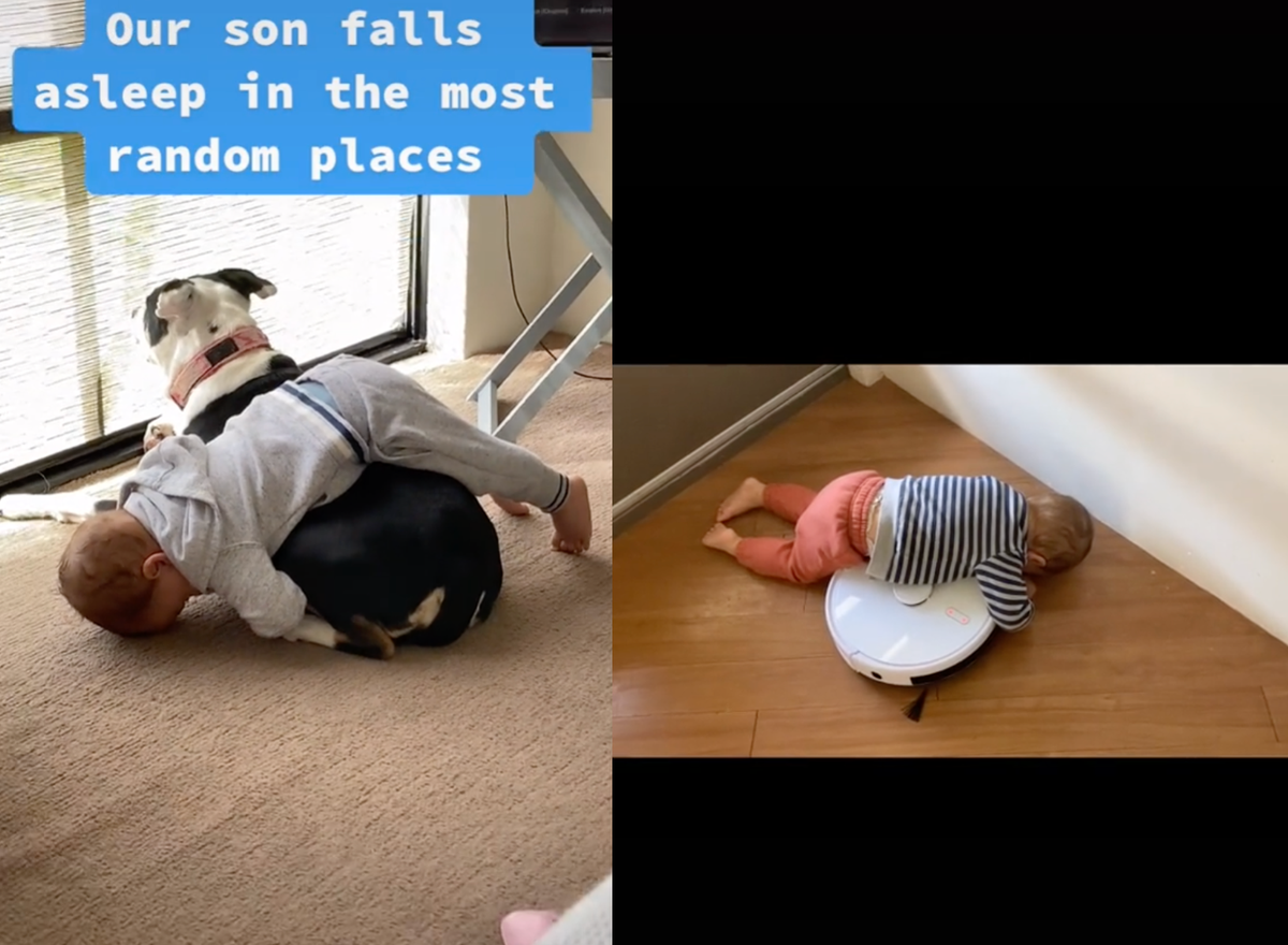 Mother reveals the random places where toddler son falls asleep: &lsquo;The dog is babysitting&rsquo;