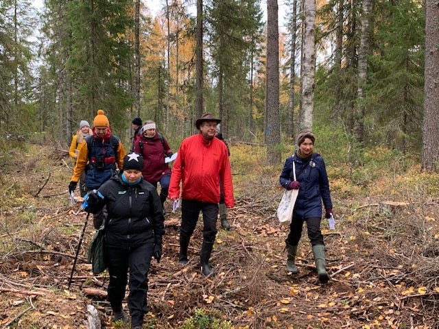 Forestry and conservation experts head into the woods at the Sipilanpera project site