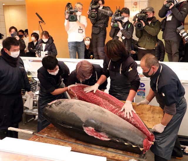<p>Staff members of Ginza Onodera restaurant cut the tuna auctioned at 16.9 million yen earlier in the day at the Toyosu Wholesale Market in Tokyo on 5 January</p>