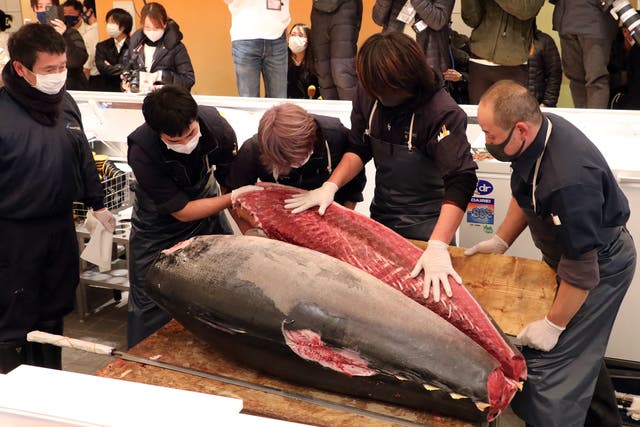 <p>Staff members of Ginza Onodera restaurant cut the tuna auctioned at 16.9 million yen earlier in the day at the Toyosu Wholesale Market in Tokyo on 5 January</p>