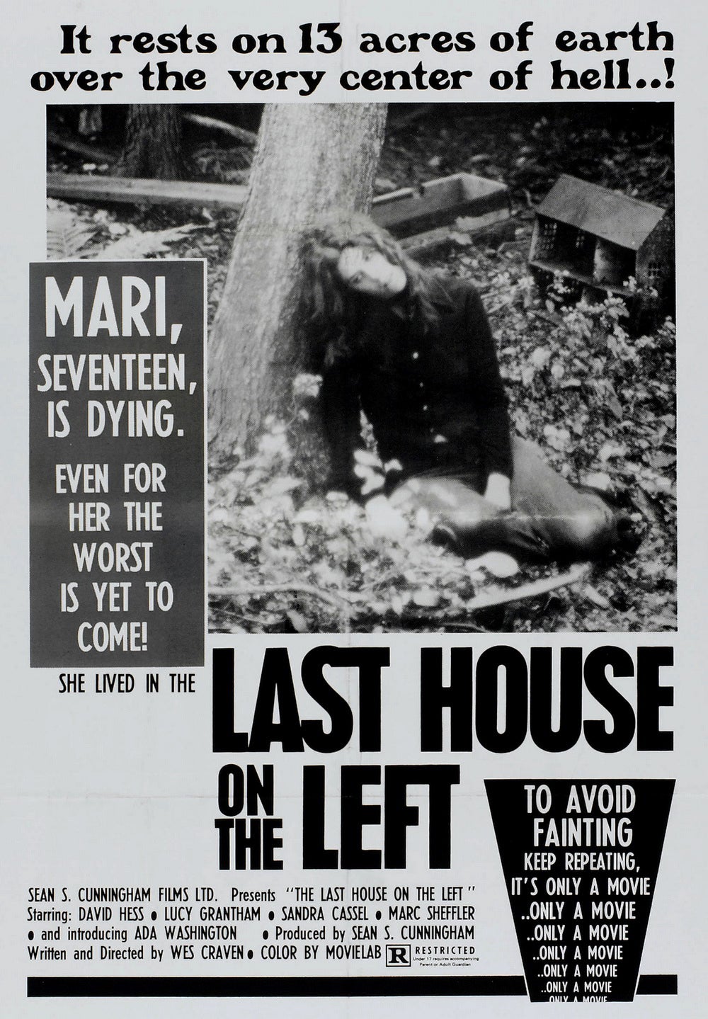 The poster artwork for ‘The Last House on the Left’, complete with fainting warning