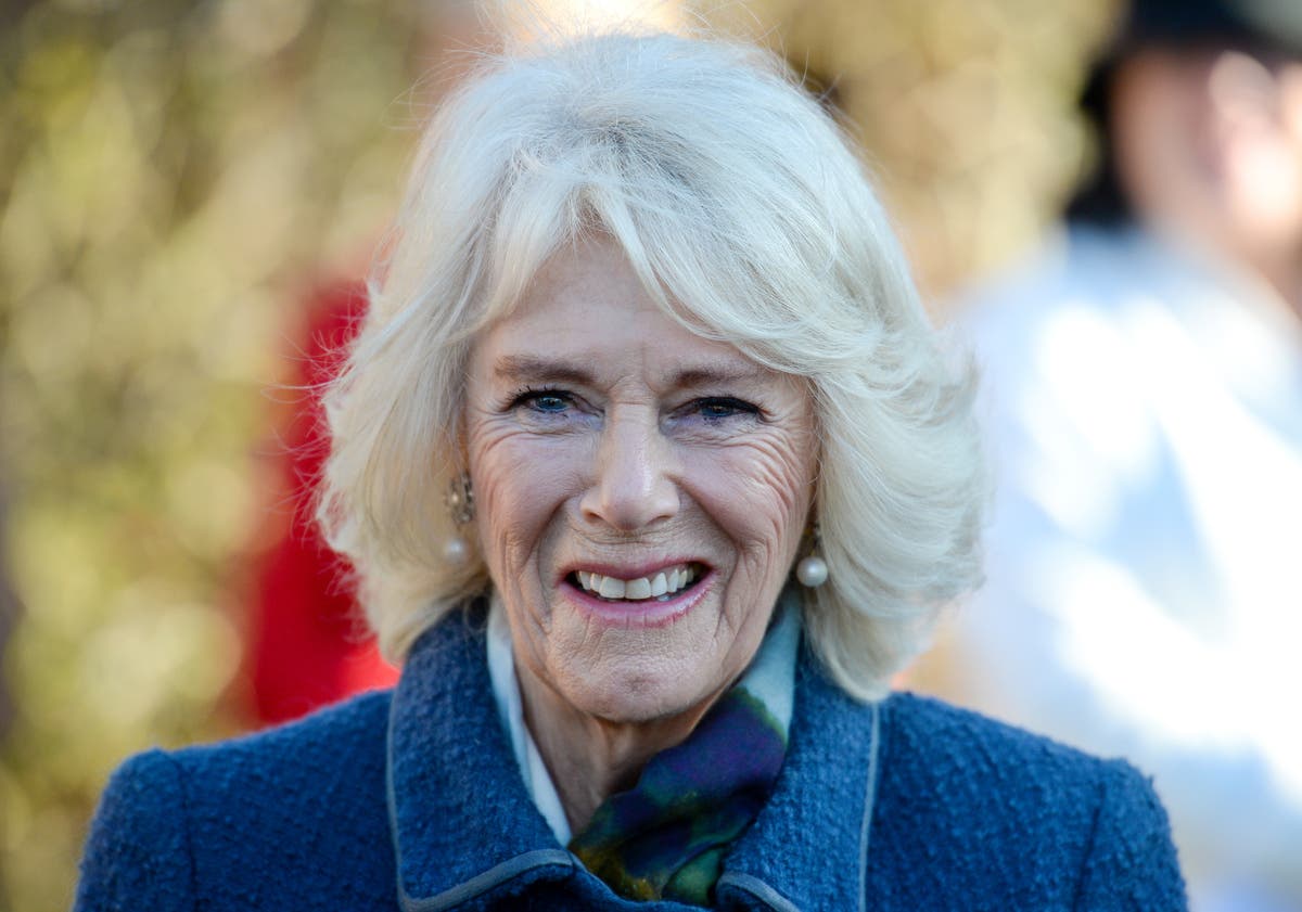 Camilla plays book fairy and leaves publications for people to find
