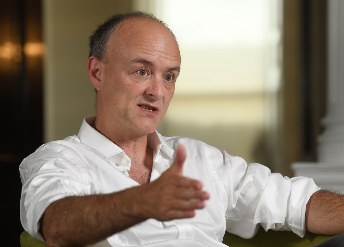 Dominic Cummings makes fresh claim of rule-breaking drinks in No 10 garden Dominic Cummings makes fresh claim of rule-breaking drinks in No 10 garden