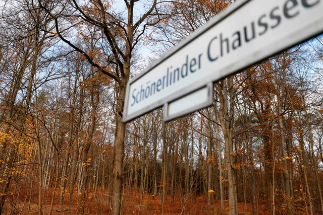 <p>Parts of the victim’s body were discovered in a forest in a Berlin suburb (pictured) in November 2020</p>