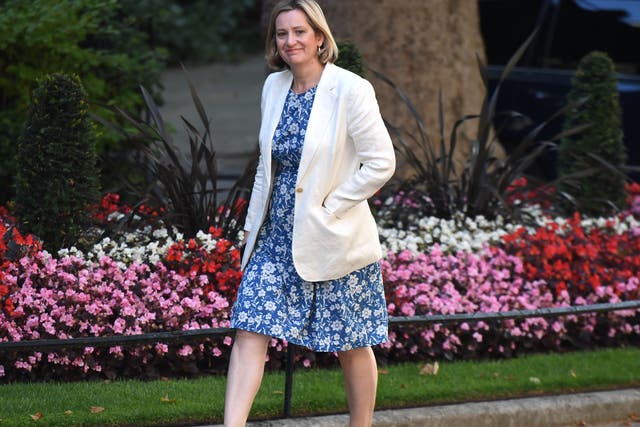 <p>Amber Rudd’s other private-sector roles include senior adviser to cybersecurity firm Darktrace</p>