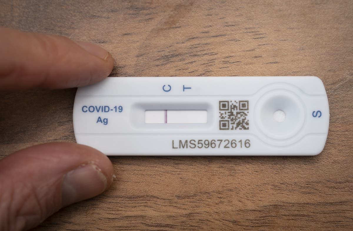 Covid news — live: ‘Absolutely’ no plans to axe free lateral flow tests, as isolation time could be cut again Covid news — live: ‘Absolutely’ no plans to axe free lateral flow tests, as isolation time could be cut again