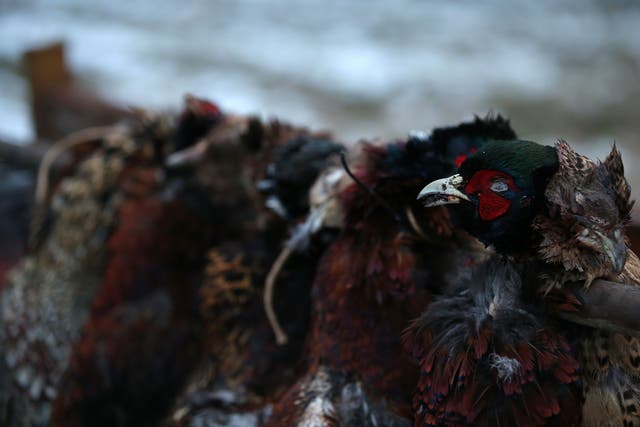 The pheasants were found in the back of the delivery driver’s car (Lynne Cameron/PA)