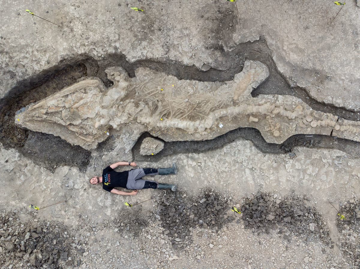 Нашли доисторическую девушку 40 миллионов лет. Нашли останки драконов. Ученые нашли останки динозавра. Раскопки гигантских людей. Палеонтолог.