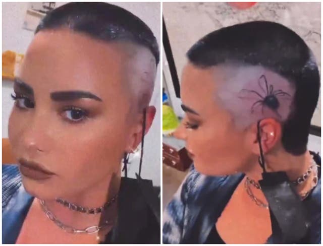 <p>Demi Lovato showed off their new tattoo</p>