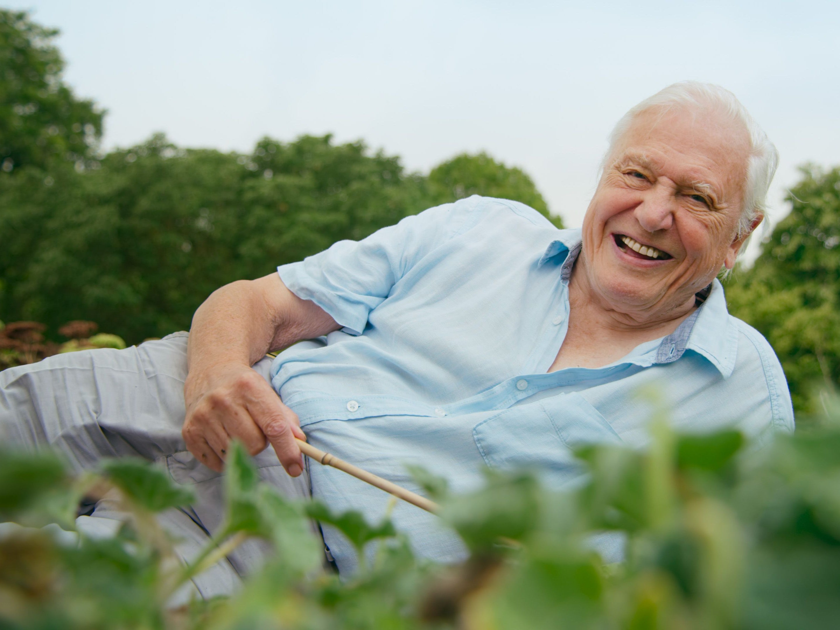 <p>Sir David Attenborough is increasingly prepared to urge action to protect the natural world</p>