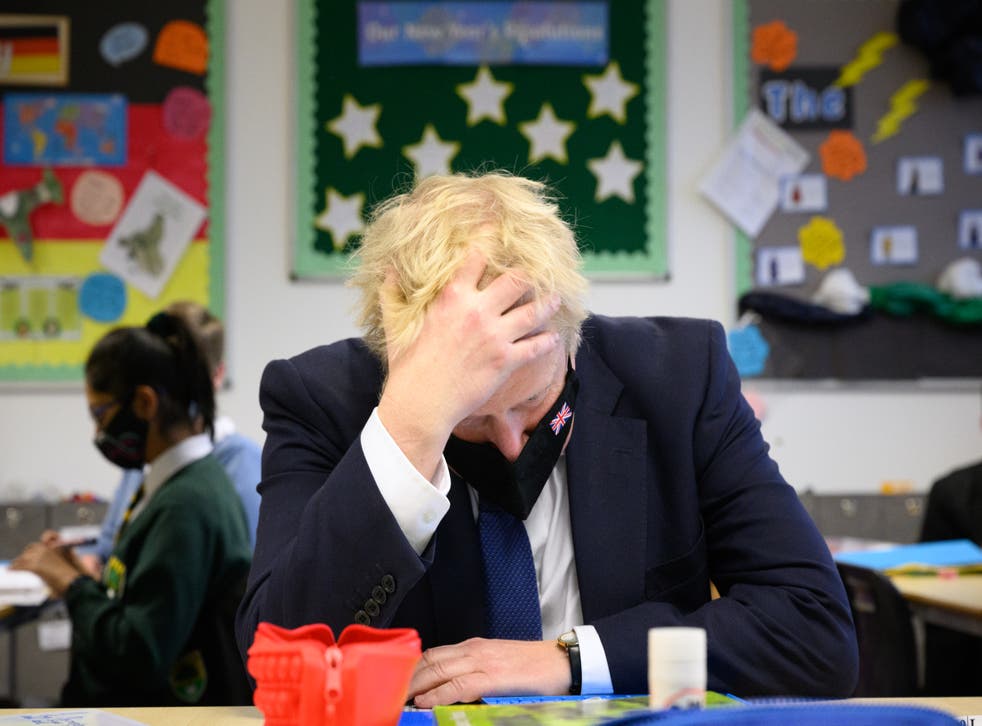 <p>How long before Boris himself gets his collar felt?</p>